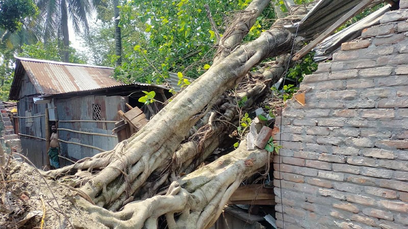 সাংবাদিকদের নৈতিকতা বিষয়ে আইন হওয়া প্রয়োজন: তথ্য উপদেষ্টা