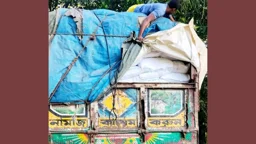 চুয়াডাঙ্গায় ট্রাকে পাচারের সময়ে ৪৪০ বস্তা টিএসপি সার জব্দ