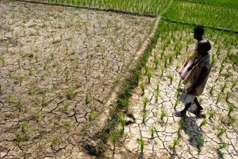 হেরোইনের অভিশাপ আর পানিশূন্য পাতাল, দুই সংকটের স্থায়ী সমাধান চান ভোটাররা