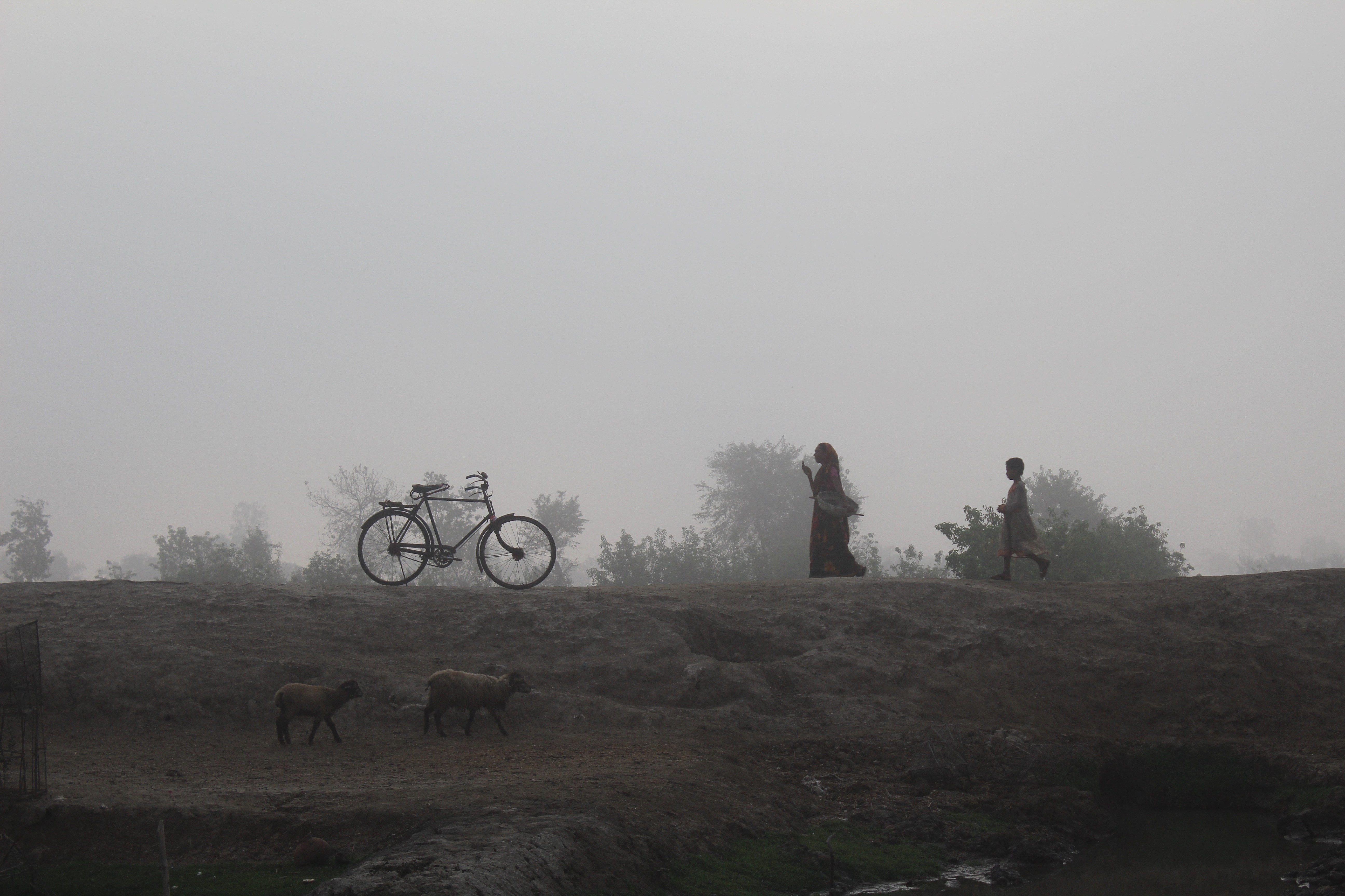 রংপুরে মুক্তিযোদ্ধা ও তাঁর স্ত্রীকে নিজ বাড়িতে হত্যা, মাথায় আঘাতের চিহ্ন