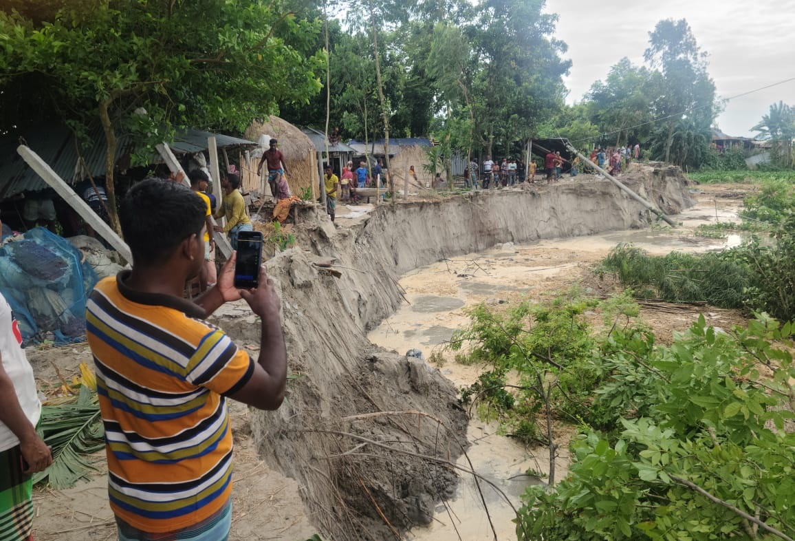 তিস্তার কড়াল গ্রাসে চর ভোরের পাখি। ছবি: সংগৃহীত