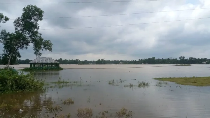 পাহাড়ি ঢলে প্লাবিত ব্রাহ্মণবাড়িয়ার আখাউড়ার ফসলি জমি। সংগৃহীত ছবি