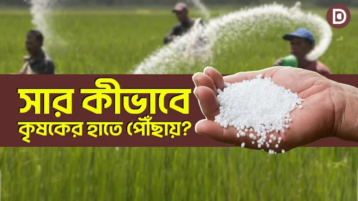 সার কীভাবে কৃষকের হাতে পৌঁছায়?
